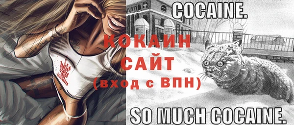 дживик Богданович